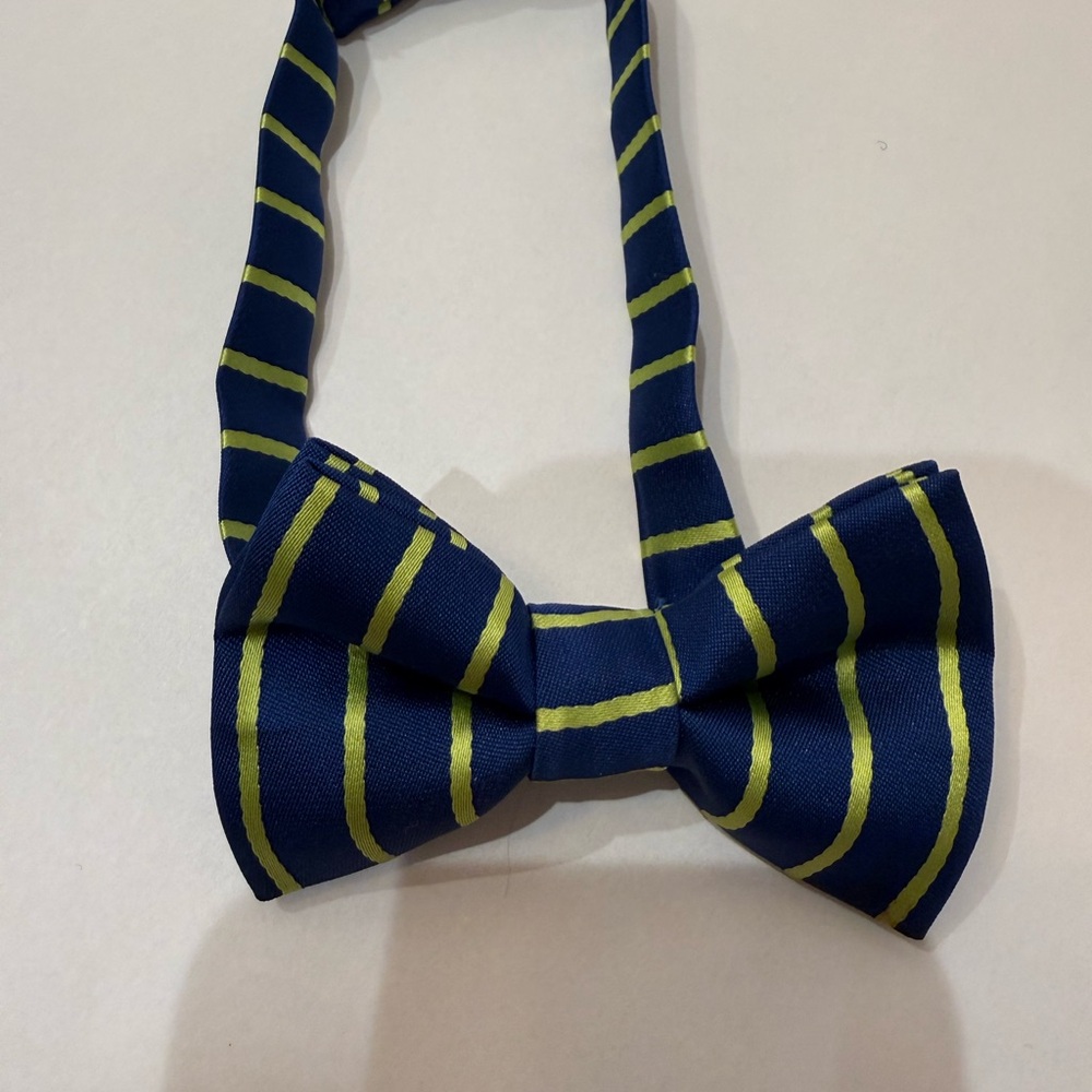 Navy and Green Striped Kids Bow Tie